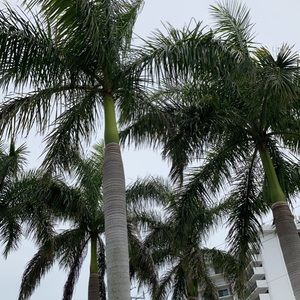 Meet your Posher, Alma